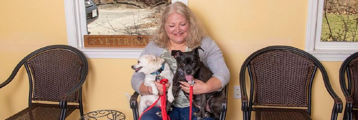 Images Boxford Animal Hospital