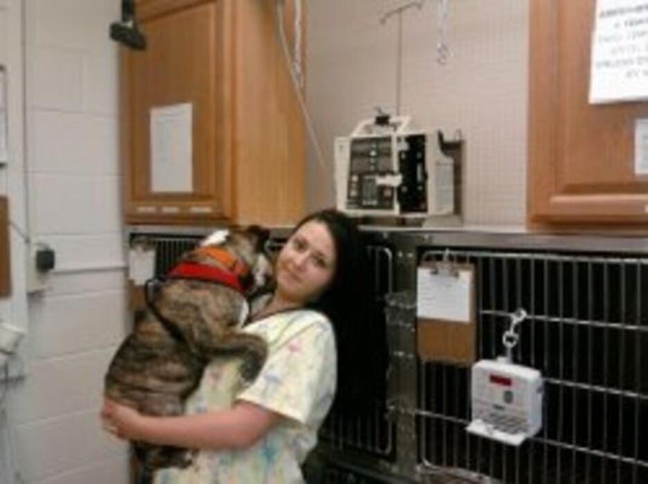 Images Animal Urgent Care Center