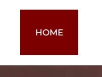 Website Screenshot Arkle Veterinary Care