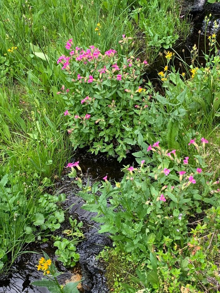 Images Adept Business Solutions - Tax&ProfitCoach4You