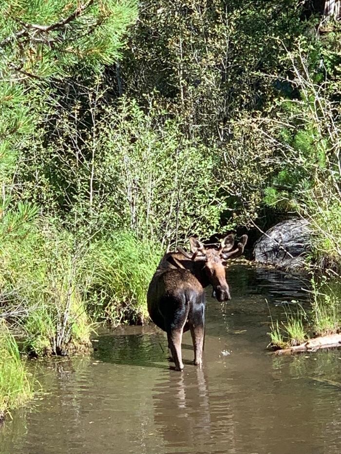 Images Adept Business Solutions - Tax&ProfitCoach4You