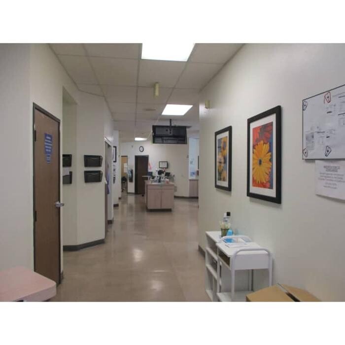 Images Western Dental & Orthodontics