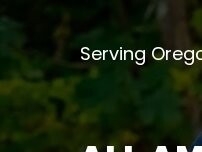 Website Screenshot All America Moving