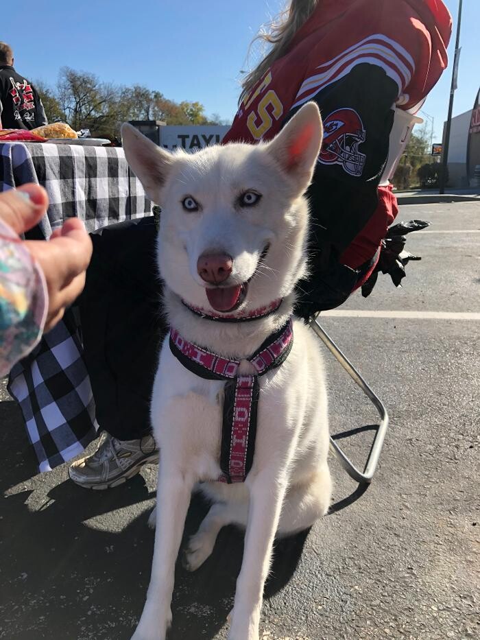 Images Taylor Animal Hospital of Parkville