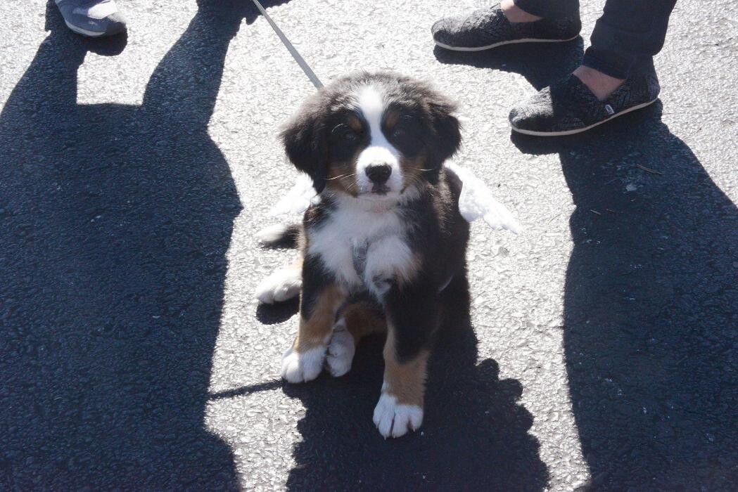 Images Taylor Animal Hospital of Parkville