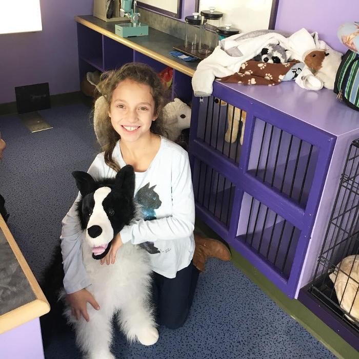 Images Taylor Animal Hospital of Parkville