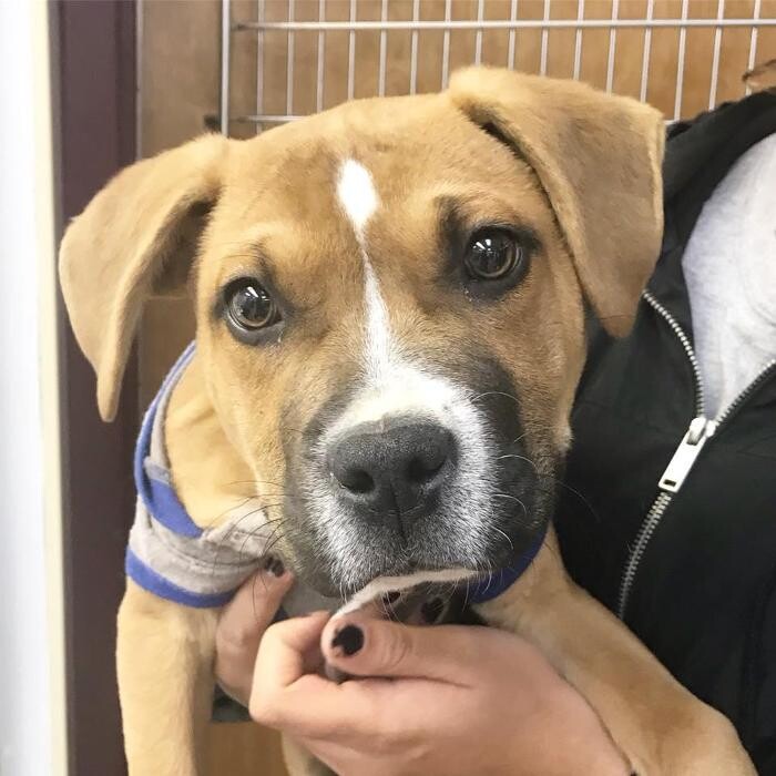 Images Taylor Animal Hospital of Parkville