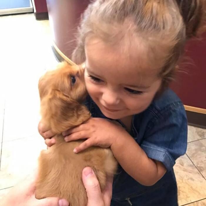 Images Taylor Animal Hospital of Parkville