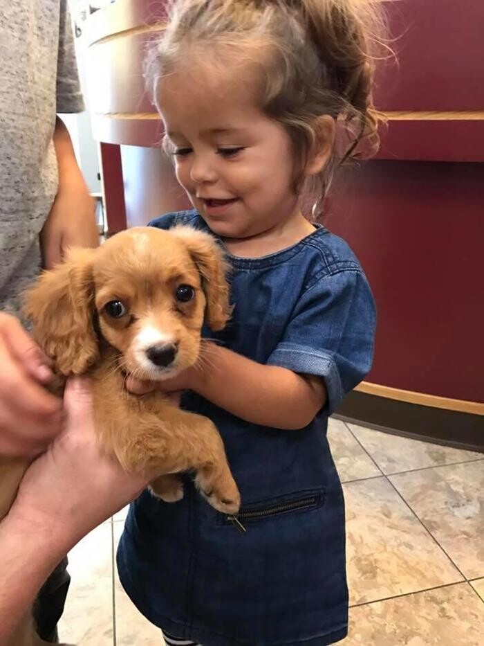 Images Taylor Animal Hospital of Parkville