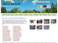 All About Bats and Wildlife website screenshot