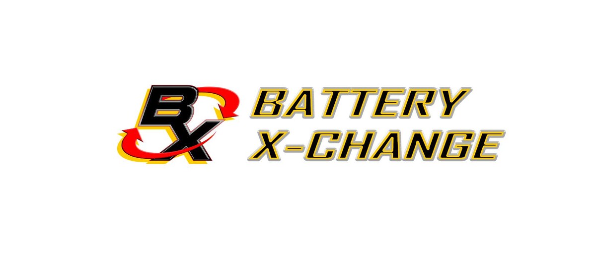Images Battery X-Change