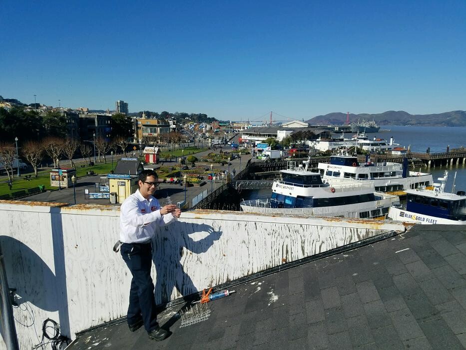 Images Dewey Pest & Termite Control