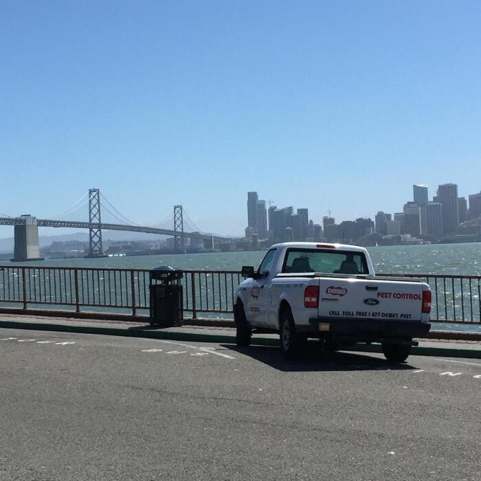 Images Dewey Pest & Termite Control