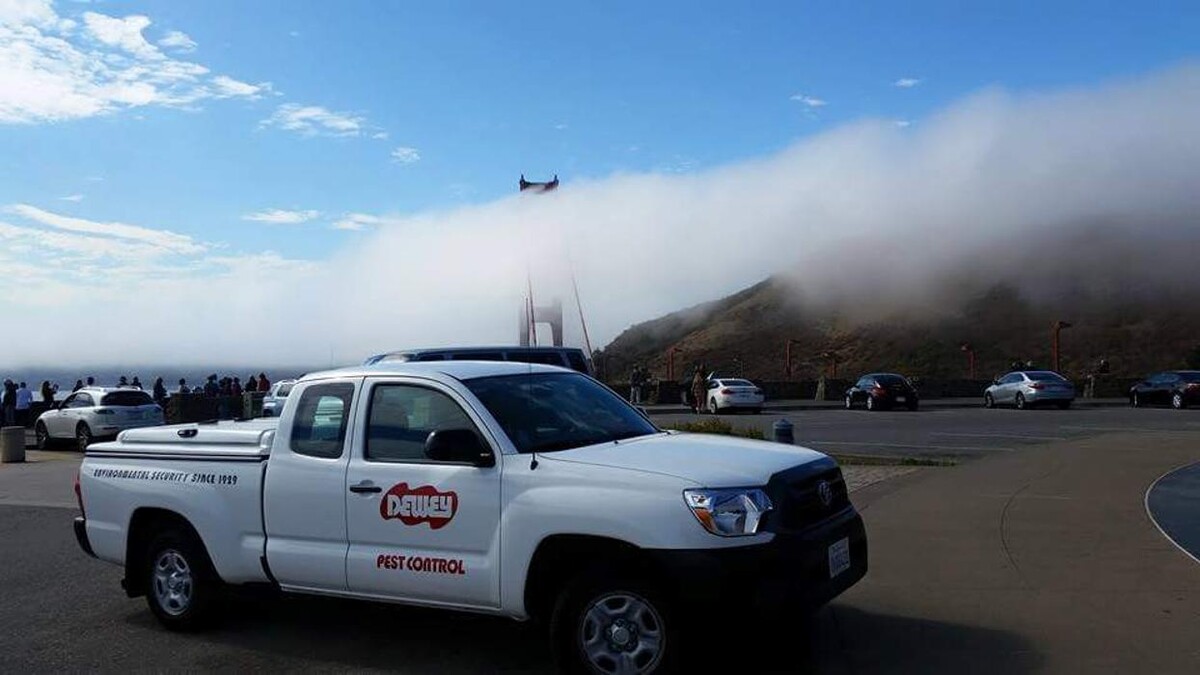 Images Dewey Pest & Termite Control