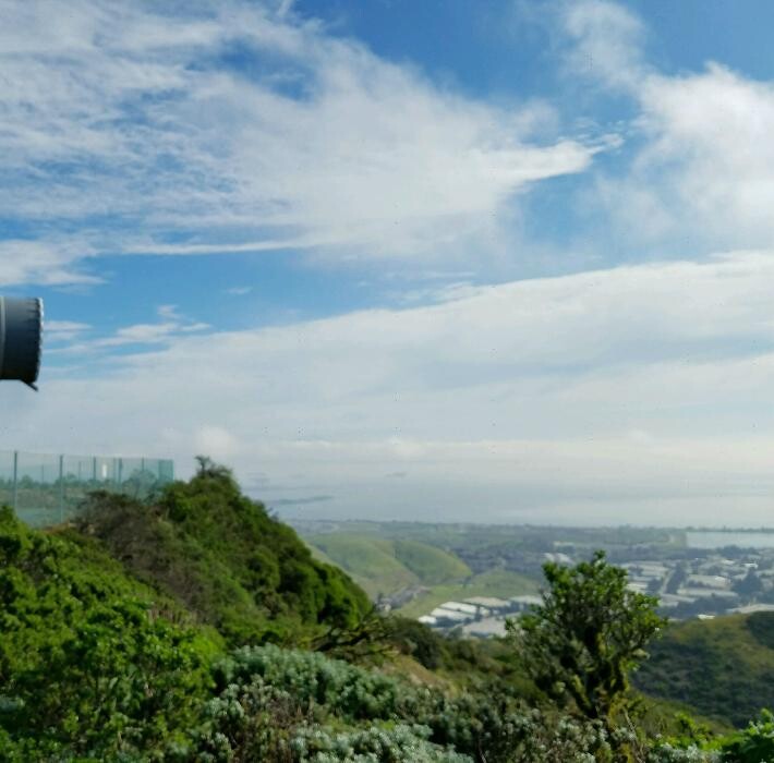 Images Dewey Pest & Termite Control