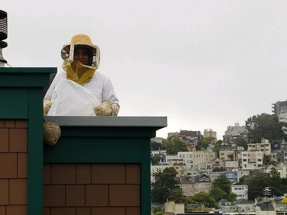 Images Dewey Pest & Termite Control