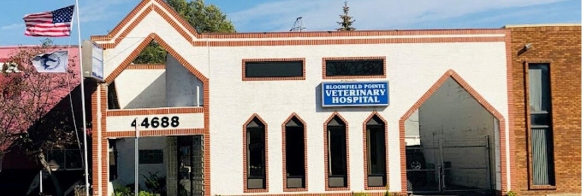 Images Bloomfield Pointe Veterinary Hospital