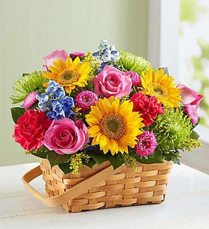 Images Gidas Flowers