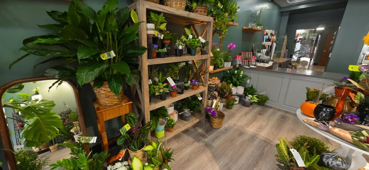 Images Gidas Flowers
