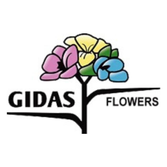 Images Gidas Flowers