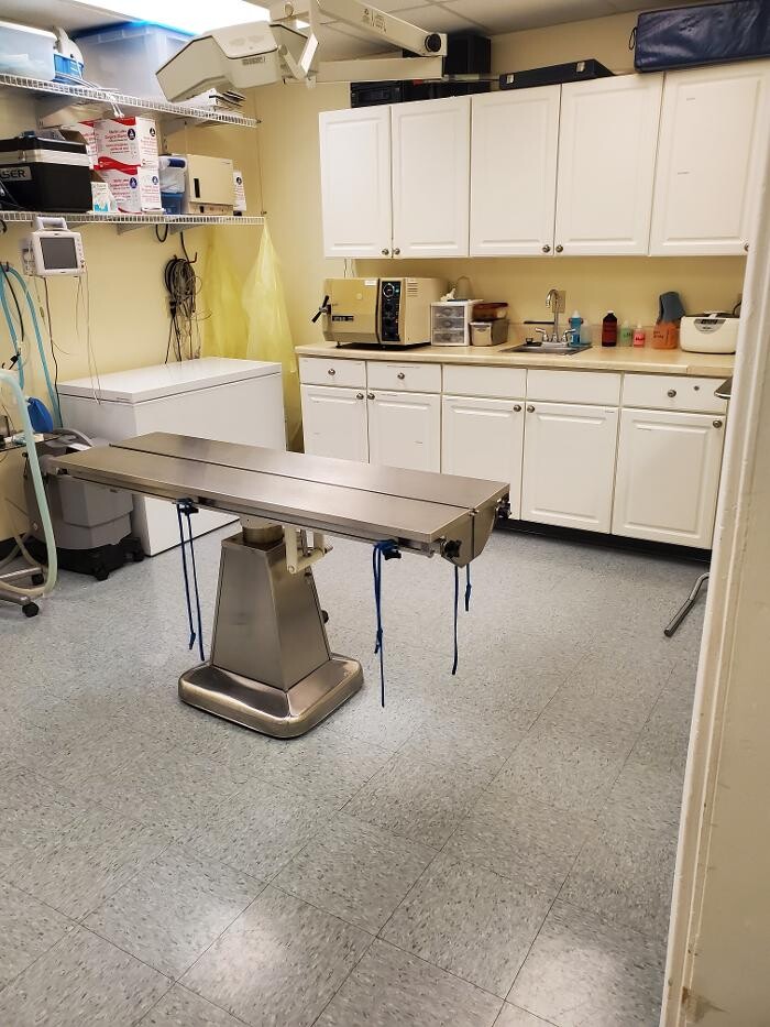 Images Monmouth Small Animal Hospital