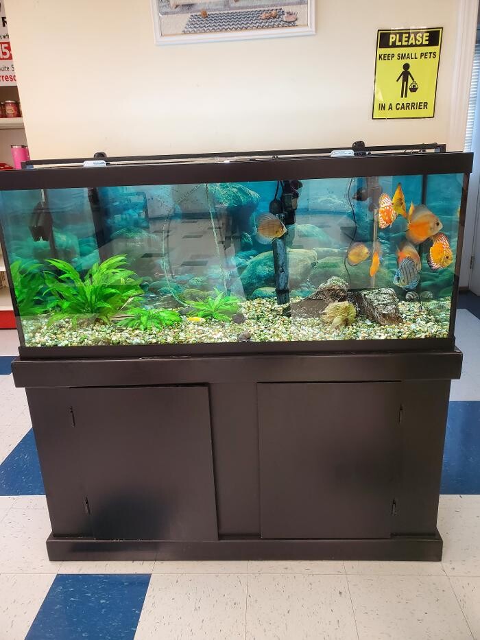 Images Monmouth Small Animal Hospital