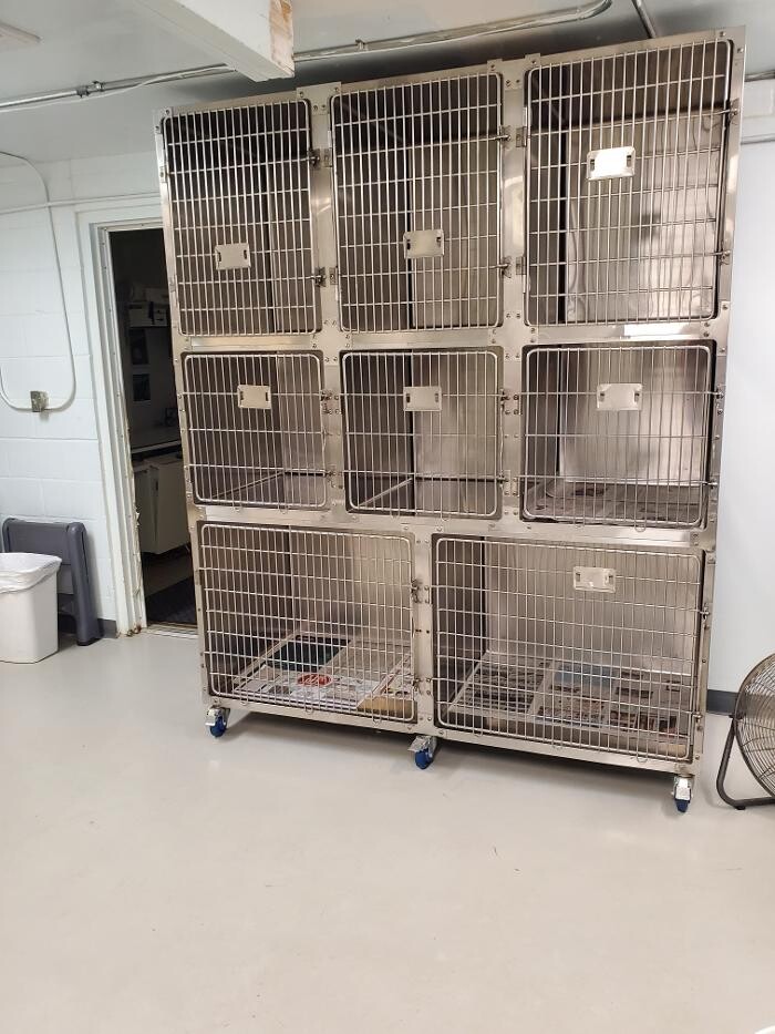 Images Monmouth Small Animal Hospital