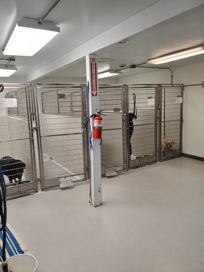 Images Monmouth Small Animal Hospital