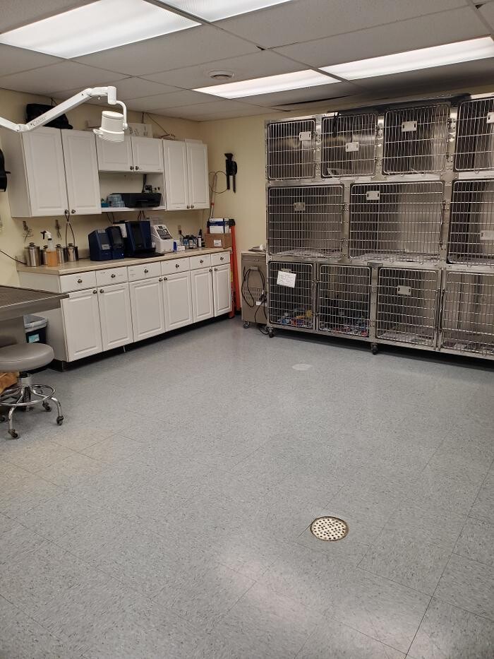 Images Monmouth Small Animal Hospital