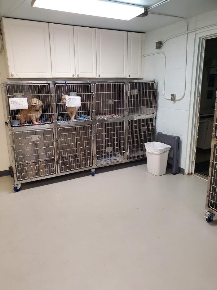 Images Monmouth Small Animal Hospital