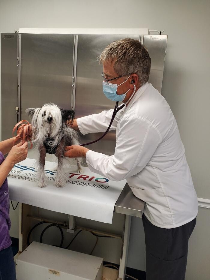 Images Monmouth Small Animal Hospital