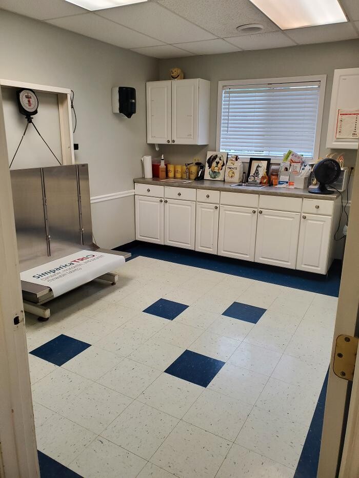 Images Monmouth Small Animal Hospital