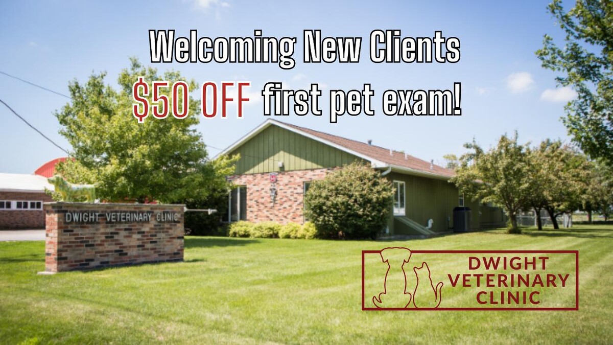 Images Dwight Veterinary Clinic