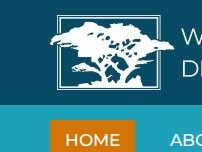 Website Screenshot Woodside Dental Care