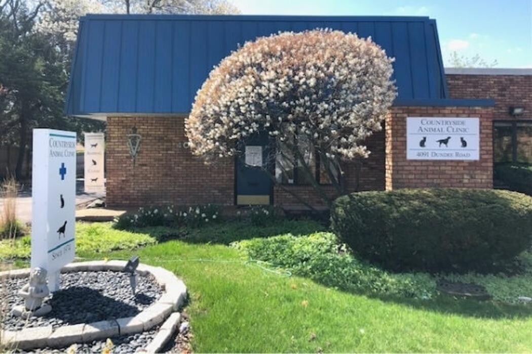 Images Countryside Animal Clinic PC