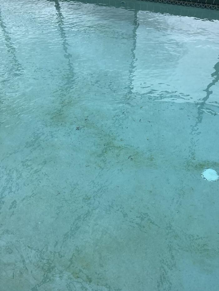 Images Pinch A Penny Pool Patio Spa