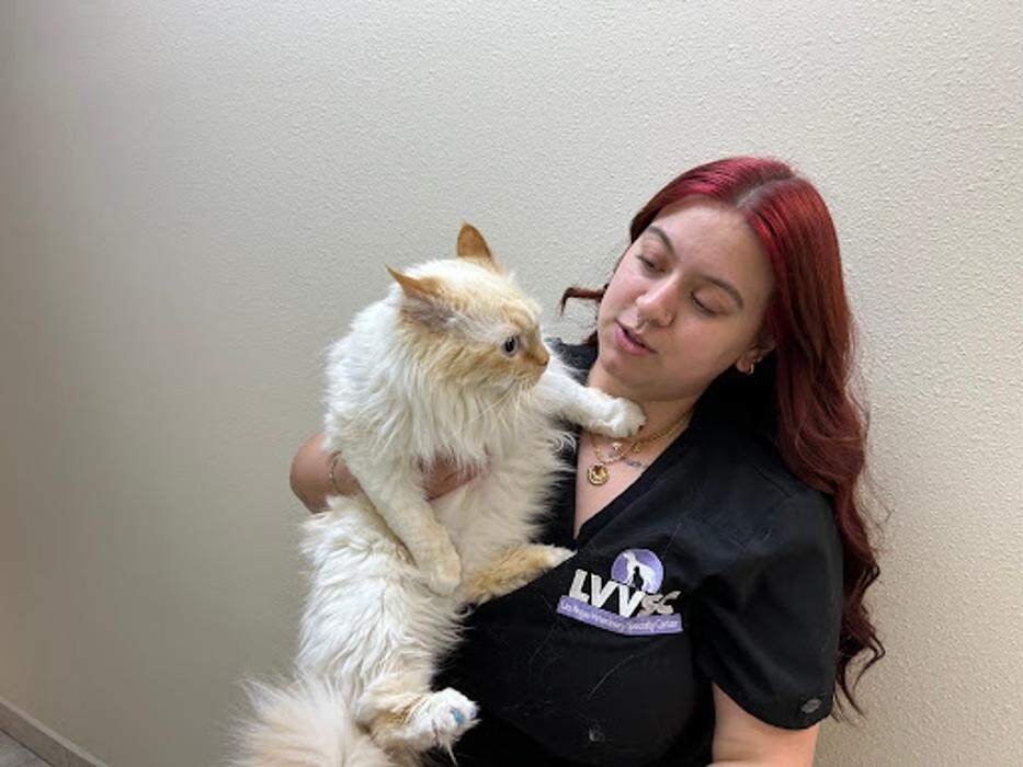 Images Las Vegas Veterinary Specialty Center