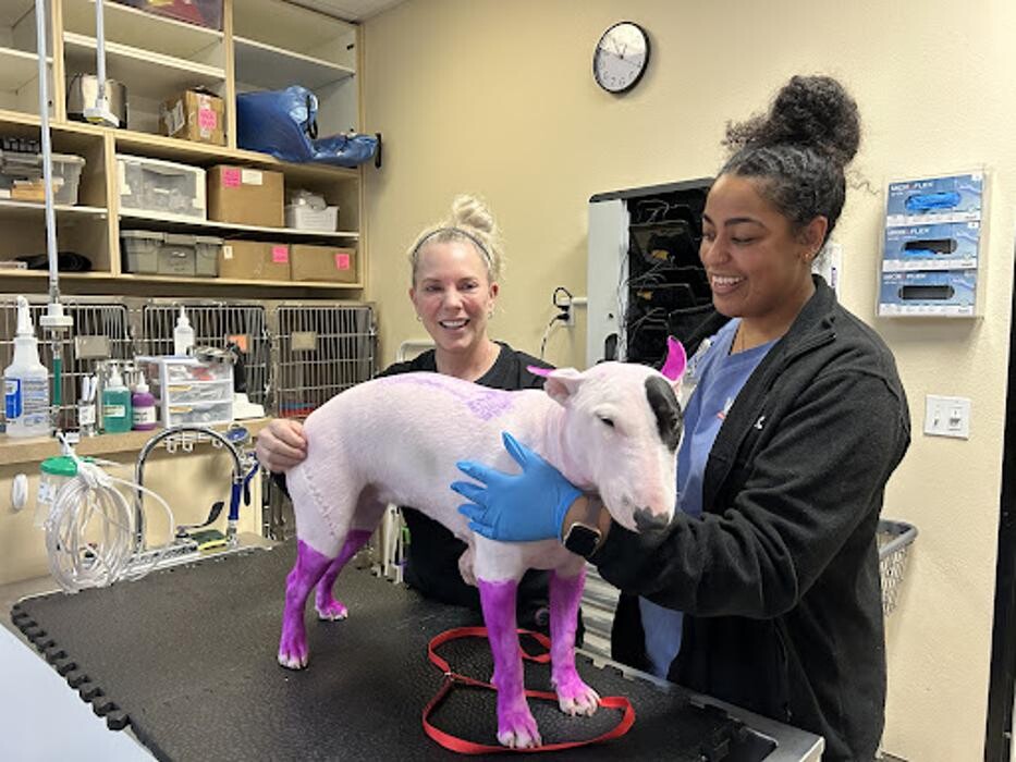 Images Las Vegas Veterinary Specialty Center