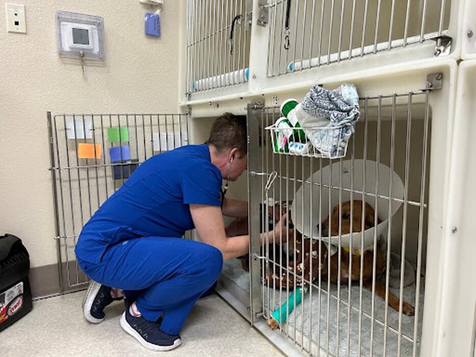 Images Las Vegas Veterinary Specialty Center