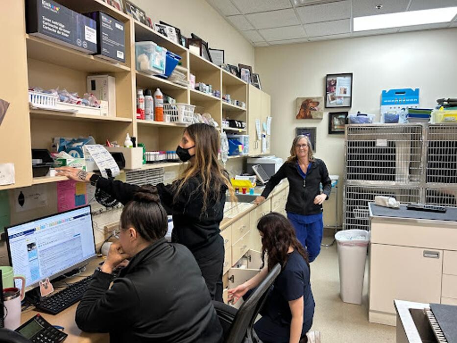 Images Las Vegas Veterinary Specialty Center