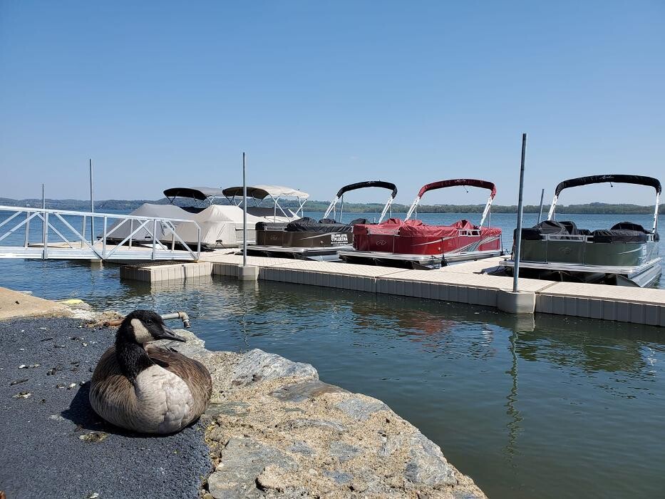 Images Long Level Marina