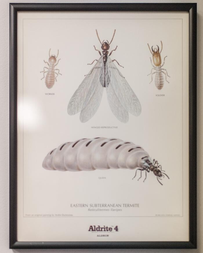 Images Massey Services Pest Control