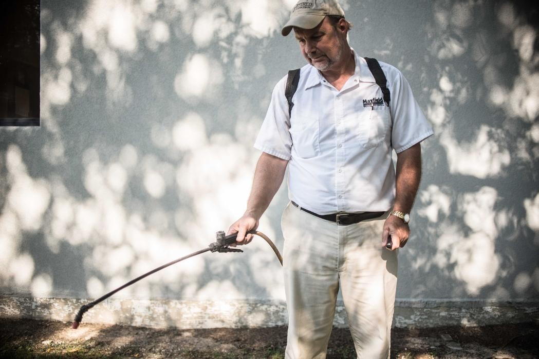 Images Massey Services Pest Control