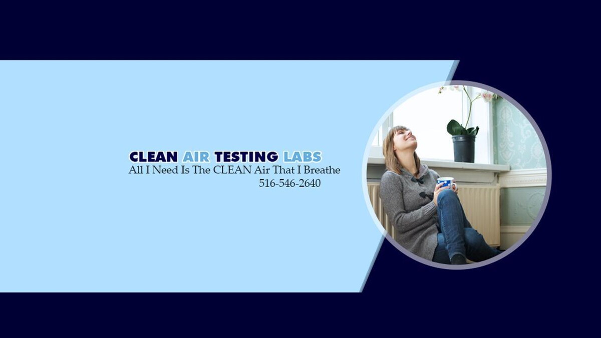 Images Clean Air Testing Labs, Inc.