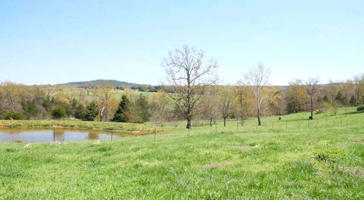 Images Williams Properties Real Estate