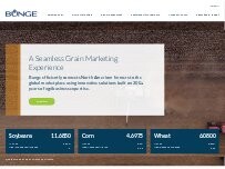 Website Screenshot Bunge