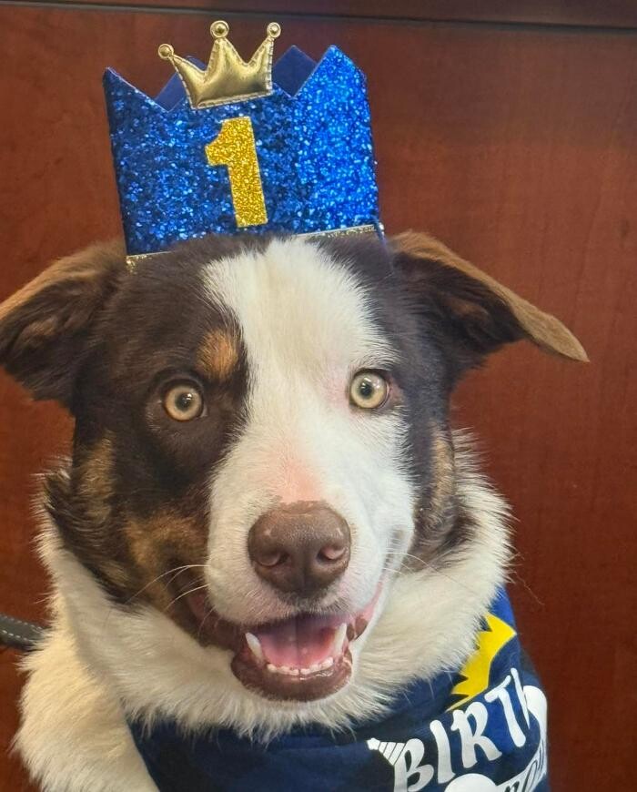 Images Saint Rose of Lima Catholic School