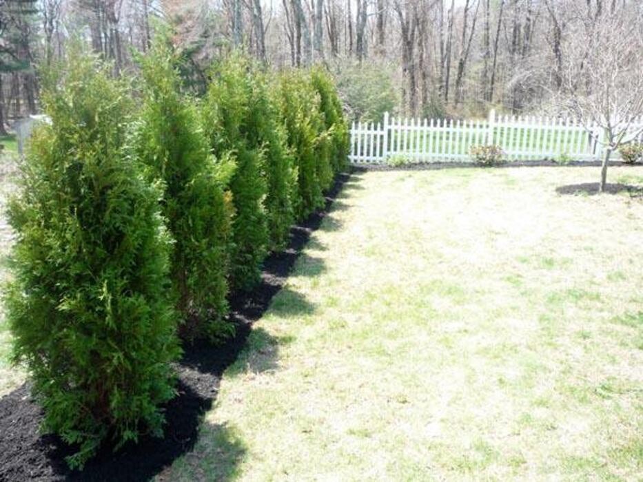 Images Northern Landscape Corp.