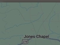 Website Screenshot Burger King