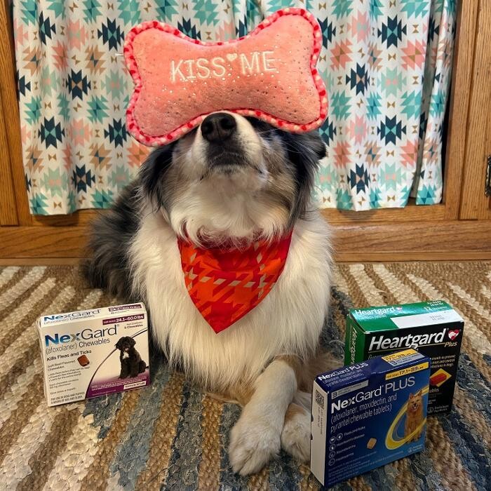 Images Waconia Veterinary Clinic